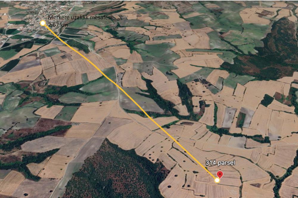 C21 BAL'DAN BALIKESİR/SUSURLUK/YAĞCIKÖY// 9100 M2 SATILIK TARLA