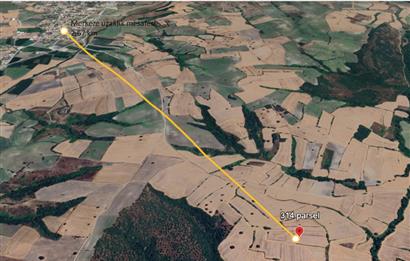 C21 BAL'DAN BALIKESİR/SUSURLUK/YAĞCIKÖY// 9100 M2 SATILIK TARLA