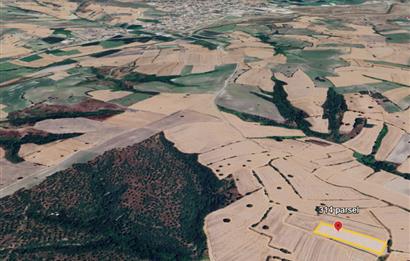 C21 BAL'DAN BALIKESİR/SUSURLUK/YAĞCIKÖY// 9100 M2 SATILIK TARLA