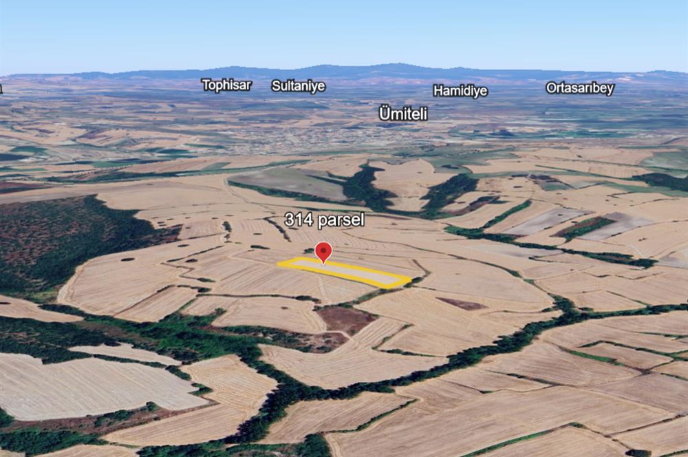 C21 BAL'DAN BALIKESİR/SUSURLUK/YAĞCIKÖY// 9100 M2 SATILIK TARLA