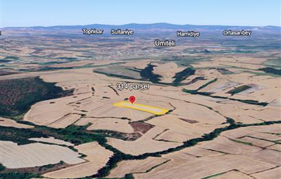 C21 BAL'DAN BALIKESİR/SUSURLUK/YAĞCIKÖY// 9100 M2 SATILIK TARLA