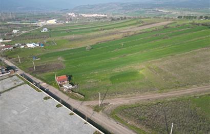 CENTURY 21 BAL'DAN SATILIK ARSA 3 KAT, İNŞAATA HAZIR