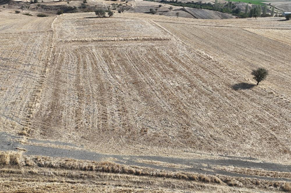 C21 WİNNER KEPSUT MAHMUDİYE 3.500m² SATILIK TARLA