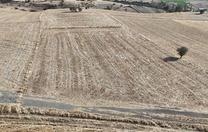 C21 WİNNER KEPSUT MAHMUDİYE 3.500m² SATILIK TARLA