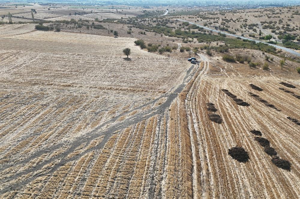 C21 WİNNER KEPSUT MAHMUDİYE 3.500m² SATILIK TARLA