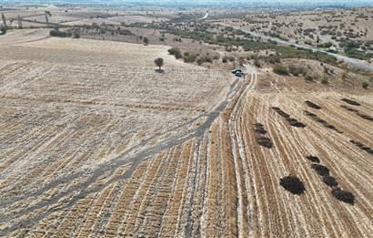 C21 WİNNER KEPSUT MAHMUDİYE 3.500m² SATILIK TARLA