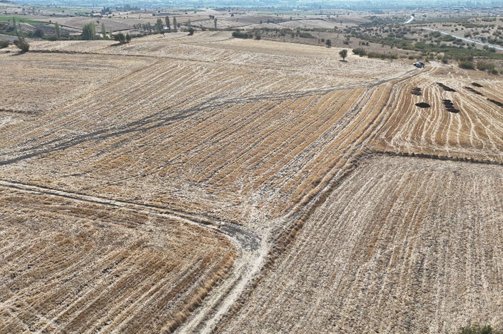 C21 WİNNER KEPSUT MAHMUDİYE 3.500m² SATILIK TARLA