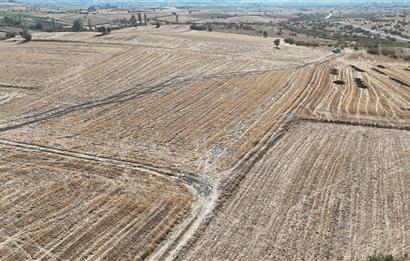 C21 WİNNER KEPSUT MAHMUDİYE 3.500m² SATILIK TARLA