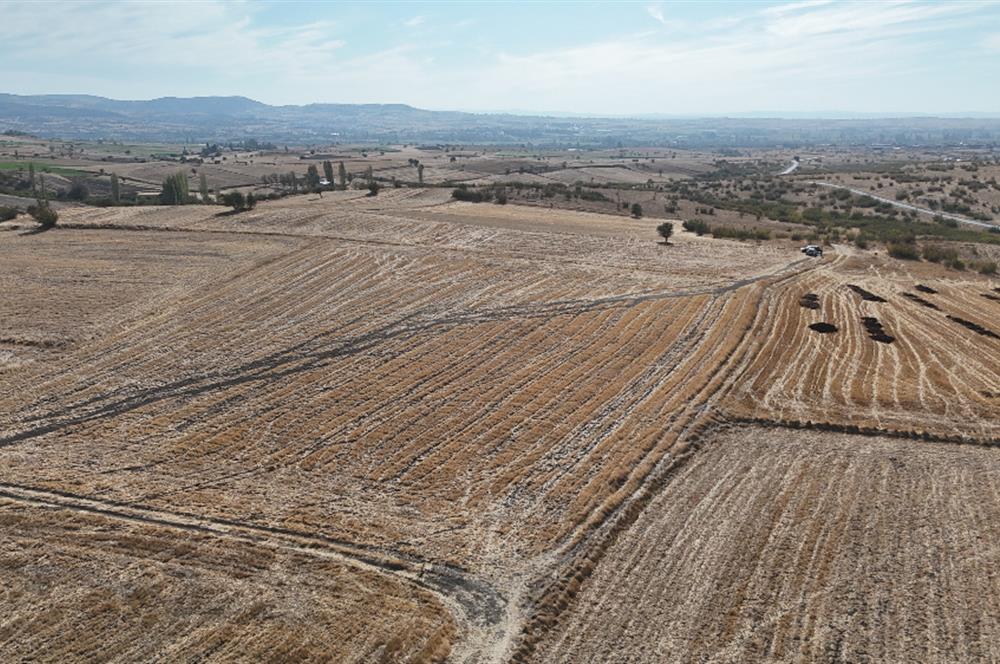 C21 WİNNER KEPSUT MAHMUDİYE 3.500m² SATILIK TARLA
