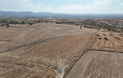 C21 WİNNER KEPSUT MAHMUDİYE 3.500m² SATILIK TARLA