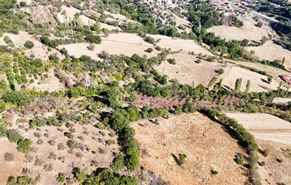 C21 WİNNER KEPSUT ÖRENHARMAN 8.207m² SATILIK BADEMLİK