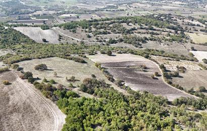 C21 WİNNER BALIKESİR CİNGE'DE 11.919m² SATILIK TARLA