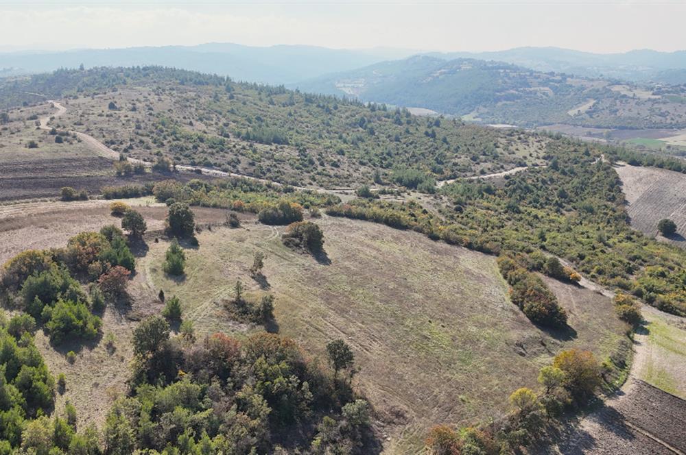 C21 WİNNER BALIKESİR CİNGE'DE 11.919m² SATILIK TARLA