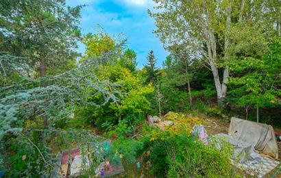 ŞİLE BALİBEY'DE DENİZE 5 DK DOĞADA, GENİŞ BAHÇELİ SATILIK VİLLA