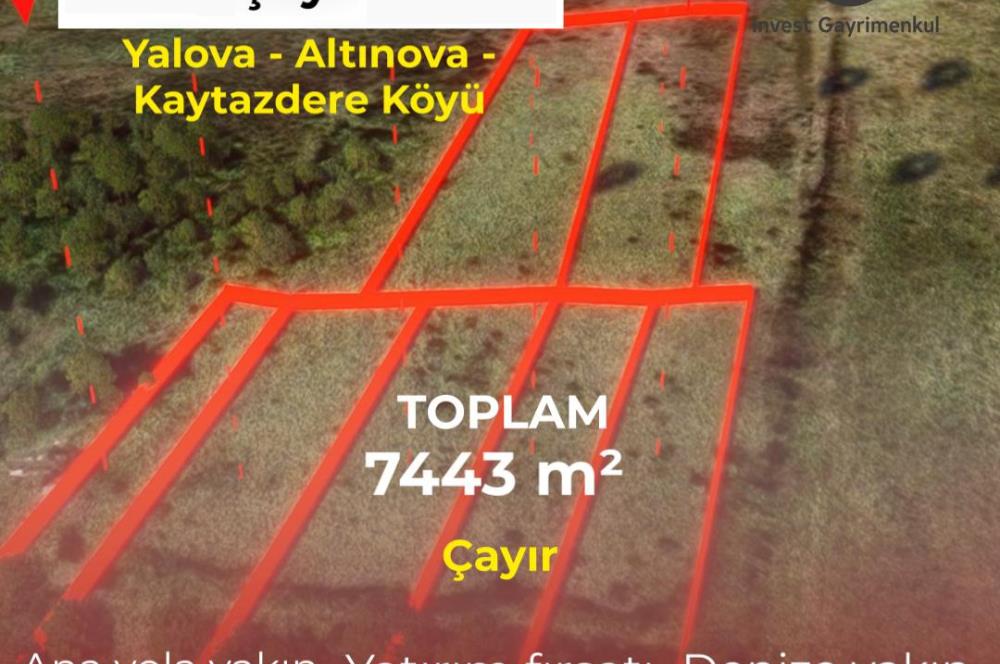 Yalova Altınova Kaytazderede 7.443 m² Çayır Nitelikli 7 Parsel 