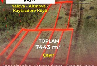 Yalova Altınova Kaytazderede 7.443 m² Çayır Nitelikli 7 Parsel 