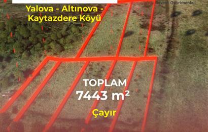 Yalova Altınova Kaytazderede 7.443 m² Çayır Nitelikli 7 Parsel