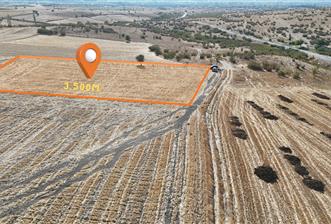 C21 WİNNER KEPSUT MAHMUDİYE 3.500m² SATILIK TARLA