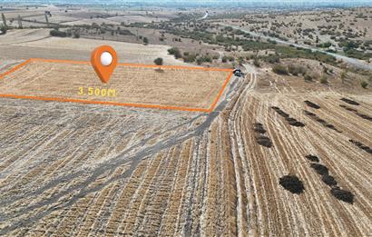 C21 WİNNER KEPSUT MAHMUDİYE 3.500m² SATILIK TARLA