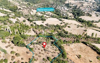 C21 WİNNER KEPSUT ÖRENHARMAN 8.207m² SATILIK BADEMLİK