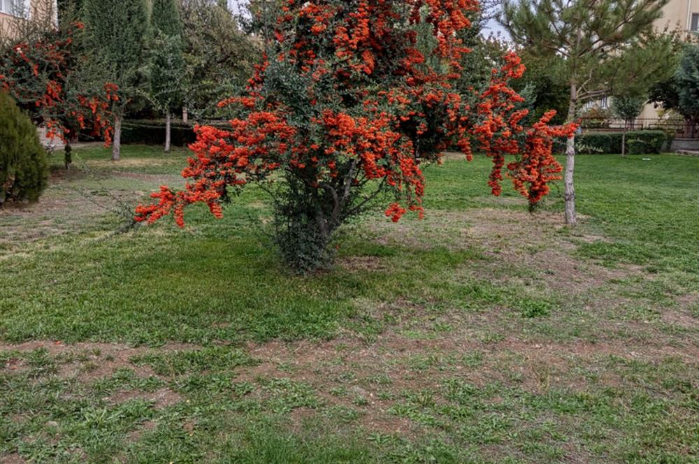 Batıkent özşafak Sitesinde Kiralık 3+1