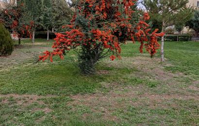 Batıkent özşafak Sitesinde Kiralık 3+1