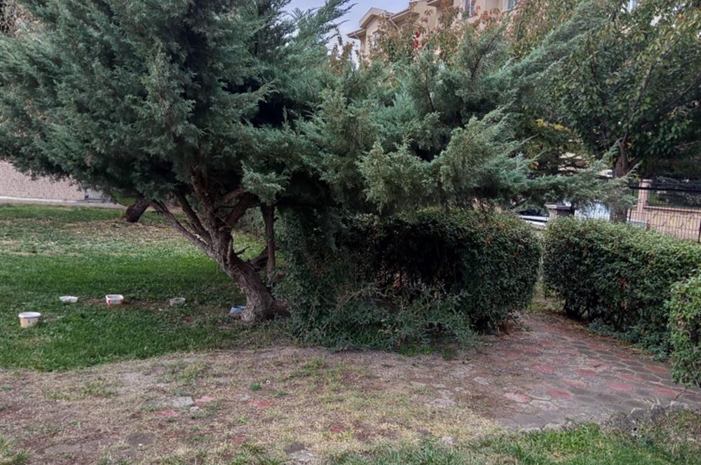 Batıkent özşafak Sitesinde Kiralık 3+1