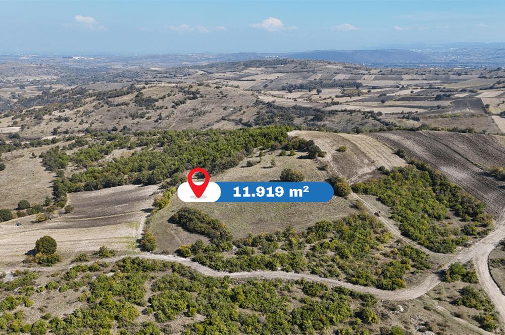 C21 WİNNER BALIKESİR CİNGE'DE 11.919m² SATILIK TARLA