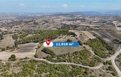 C21 WİNNER BALIKESİR CİNGE'DE 11.919m² SATILIK TARLA