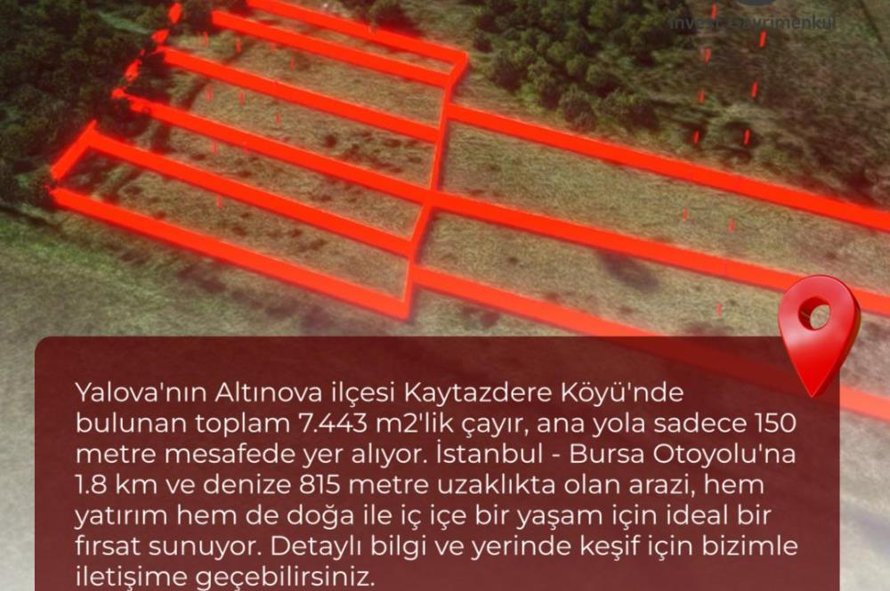 Yalova Altınova Kaytazderede 7.443 m² Çayır Nitelikli 7 Parsel 