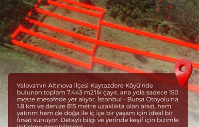 Yalova Altınova Kaytazderede 7.443 m² Çayır Nitelikli 7 Parsel 