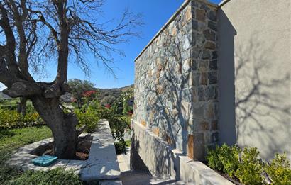 Gümüşlük'te Müstakil 1500m2 Arazi İçerisinde 5+1 Özel Havuzlu Premium Villalar 