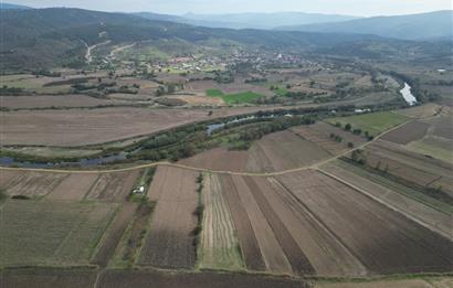 CENTRUY 21 BAL'DAN  SUSURLUK YILDIZ MAHALLESİ SATILIK TARLA