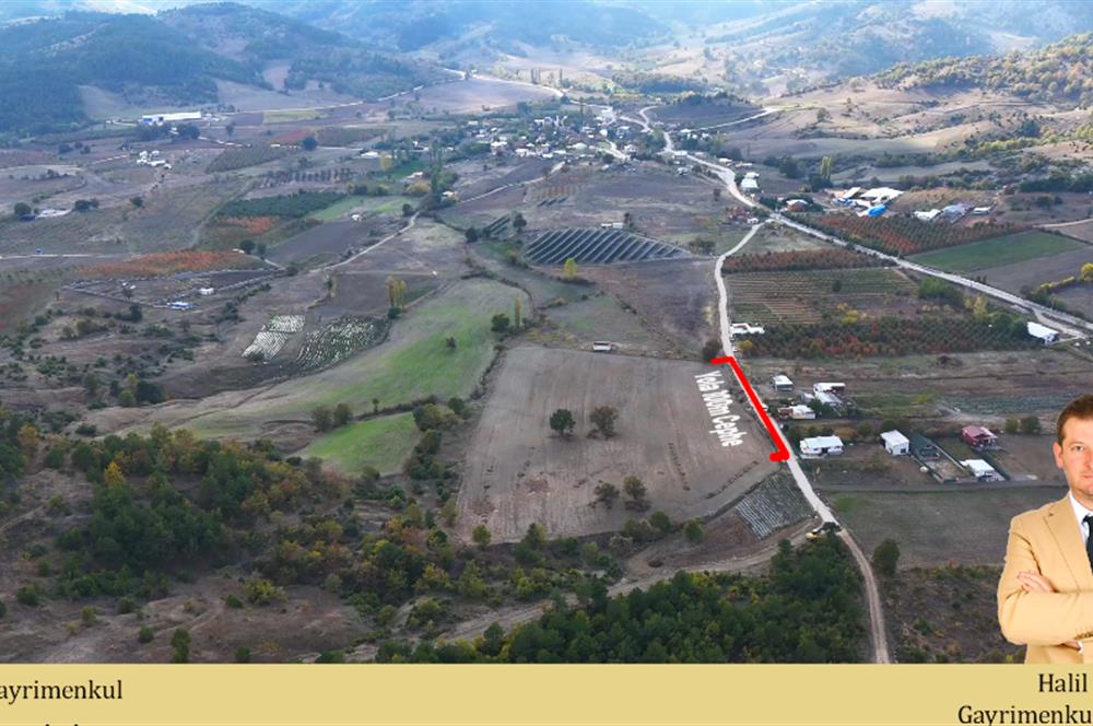 C21 Cius; Gürsu Ericek Köyü K.Yola Cephe 13.214m² Satılık Tarla