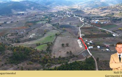 C21 Cius; Gürsu Ericek Köyü K.Yola Cephe 13.214m² Satılık Tarla