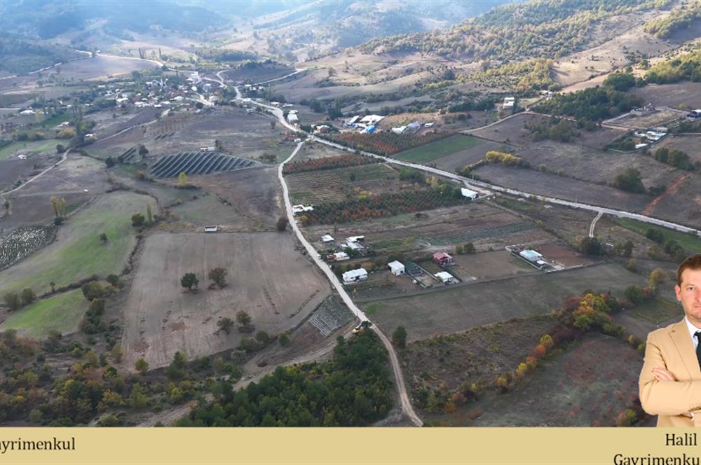 C21 Cius; Gürsu Ericek Köyü K.Yola Cephe 13.214m² Satılık Tarla