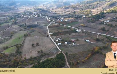 C21 Cius; Gürsu Ericek Köyü K.Yola Cephe 13.214m² Satılık Tarla