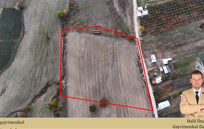 C21 Cius; Gürsu Ericek Köyü K.Yola Cephe 13.214m² Satılık Tarla