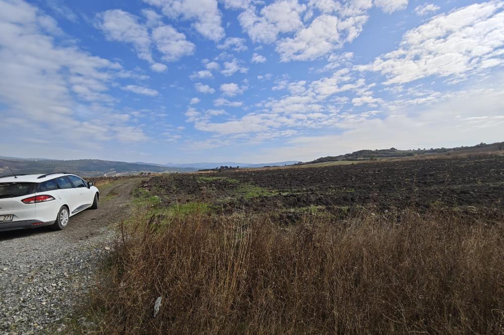 CENTRUY 21 BAL'DAN  SUSURLUK YILDIZ MAHALLESİ SATILIK TARLA