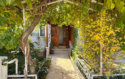 C21 BAL'DAN PAŞAALAANI MAHALLESİ 4+1 MÜSTAKİL SATILIK TRİPLEX