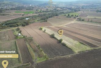 CENTRUY 21 BAL'DAN  SUSURLUK YILDIZ MAHALLESİ SATILIK TARLA