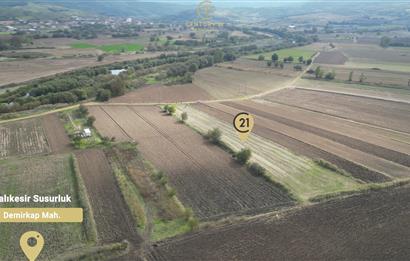 CENTRUY 21 BAL'DAN  SUSURLUK YILDIZ MAHALLESİ SATILIK TARLA