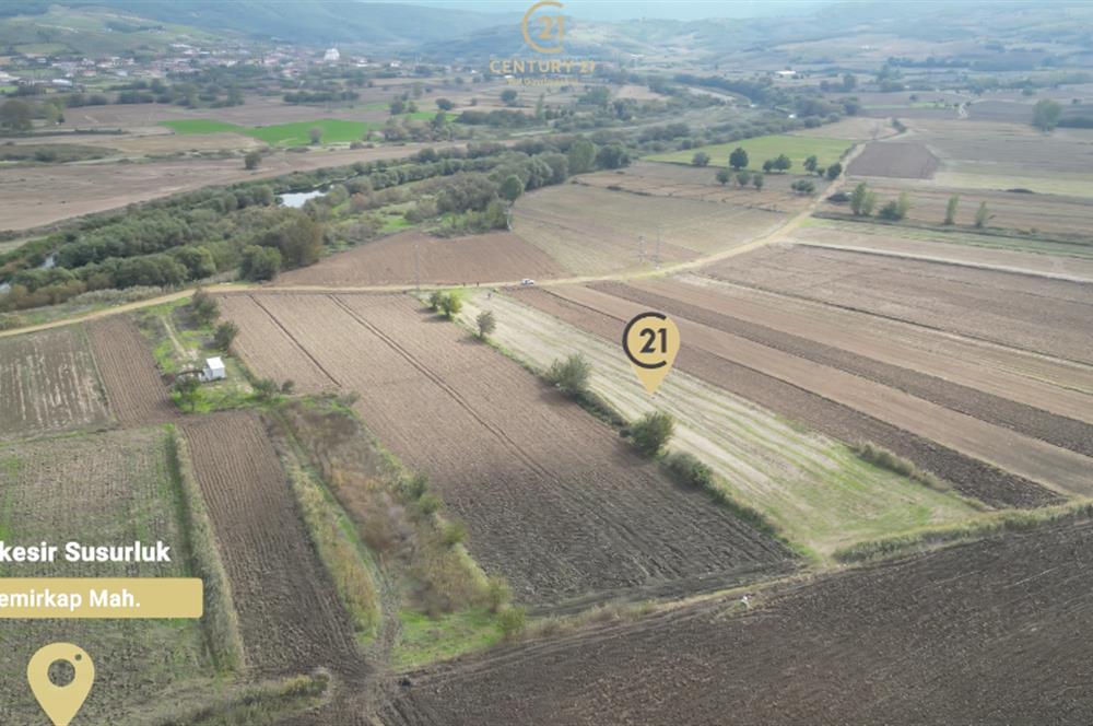 CENTRUY 21 BAL'DAN  SUSURLUK YILDIZ MAHALLESİ SATILIK TARLA