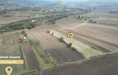 CENTRUY 21 BAL'DAN  SUSURLUK YILDIZ MAHALLESİ SATILIK TARLA