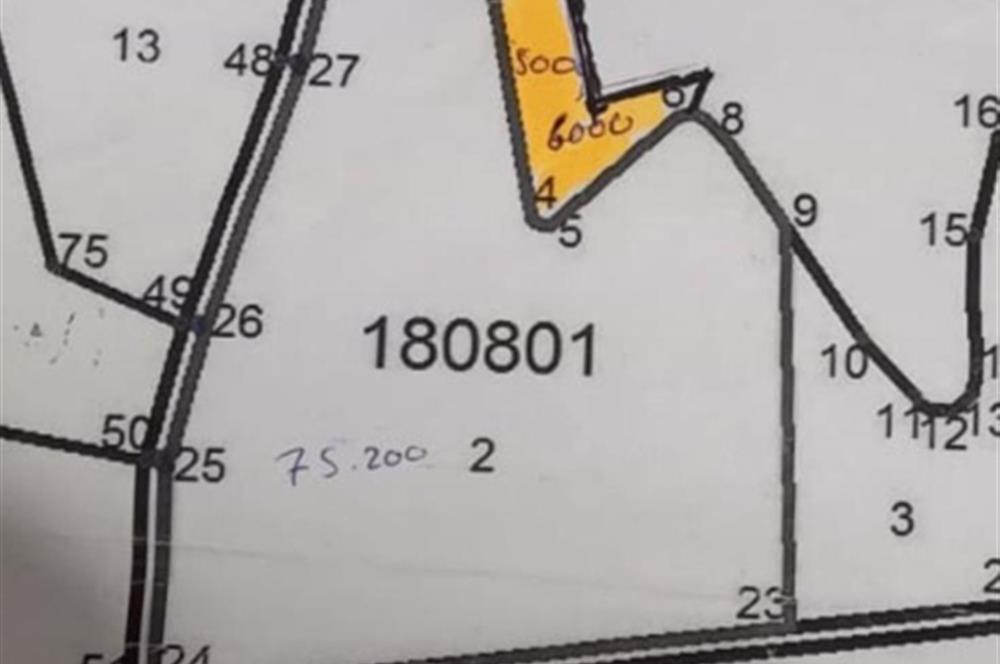 Şereflikoçhisar'da Baraja Sıfır, Elektrik ve Sulu 82 Dönüm Tarla