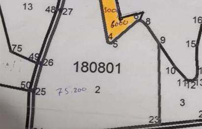 Şereflikoçhisar'da Baraja Sıfır, Elektrik ve Sulu 82 Dönüm Tarla