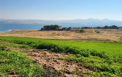 Şereflikoçhisar'da Baraja Sıfır, Elektrik ve Sulu 82 Dönüm Tarla