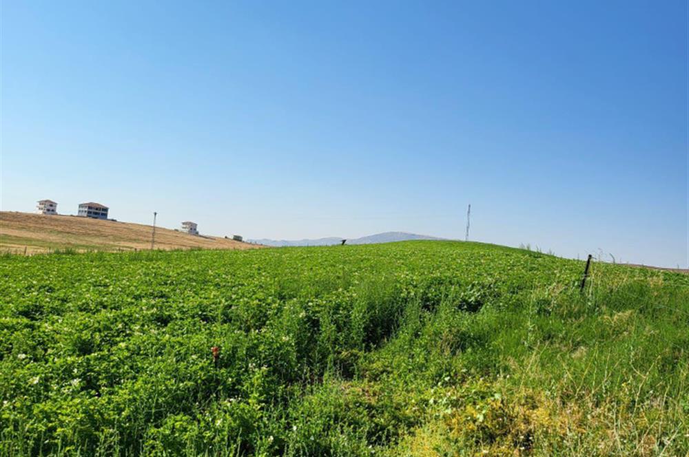 Şereflikoçhisar'da Baraja Sıfır, Elektrik ve Sulu 82 Dönüm Tarla