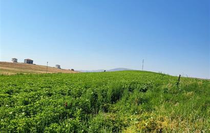 Şereflikoçhisar'da Baraja Sıfır, Elektrik ve Sulu 82 Dönüm Tarla