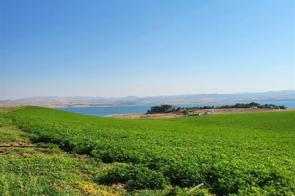 Şereflikoçhisar'da Baraja Sıfır, Elektrik ve Sulu 82 Dönüm Tarla